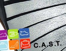 C.A.S.T. 2010