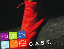 C.A.S.T. 2011